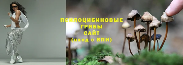 тгк Покров