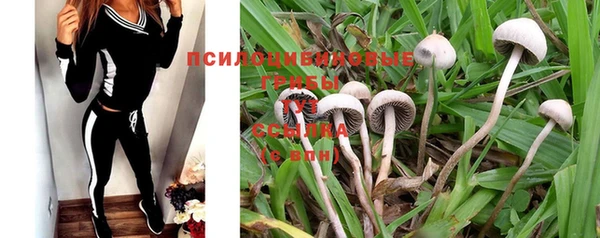 кокс Покачи