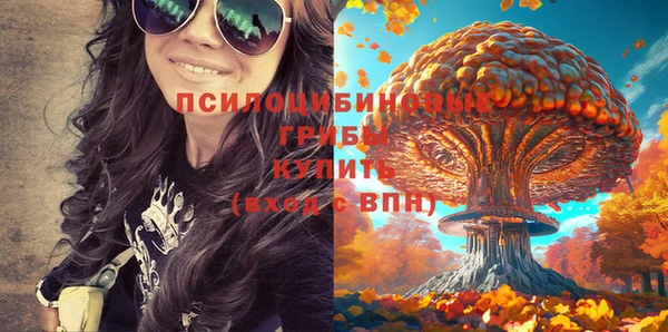 кокс Покачи