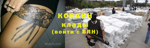 тгк Покров