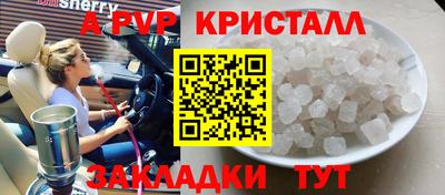 прущие грибы Лесосибирск
