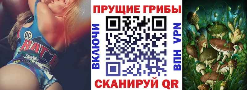 omg как зайти  Новокузнецк  Псилоцибиновые грибы Magic Shrooms 