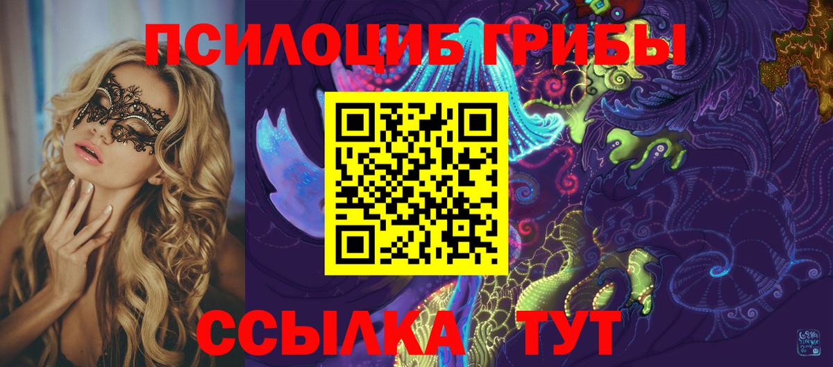 Новокузнецк  Псилоцибиновые грибы Psilocybine cubensis  Галлюциногенные грибы ЛСД  Вход с VPN 